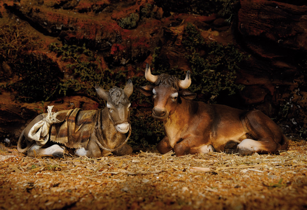 Bue_Asinello_Presepe_Immanuel