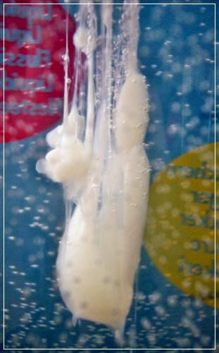 Ovomanzia San Pietro