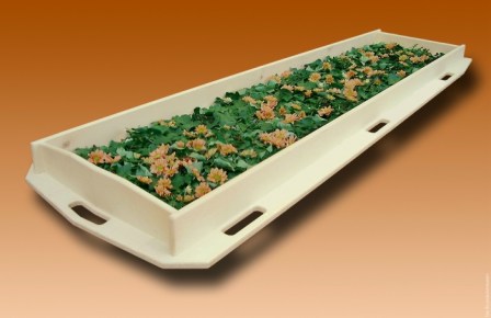 Cassa da morto fioriera