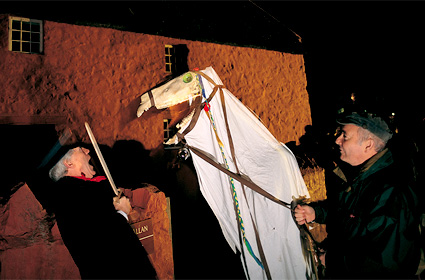 Mari Lwyd