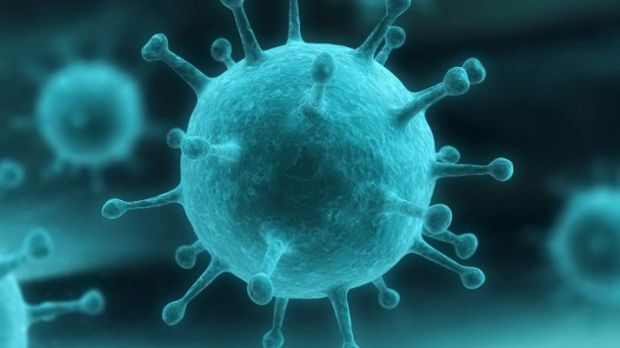 Influenza spagnola virus